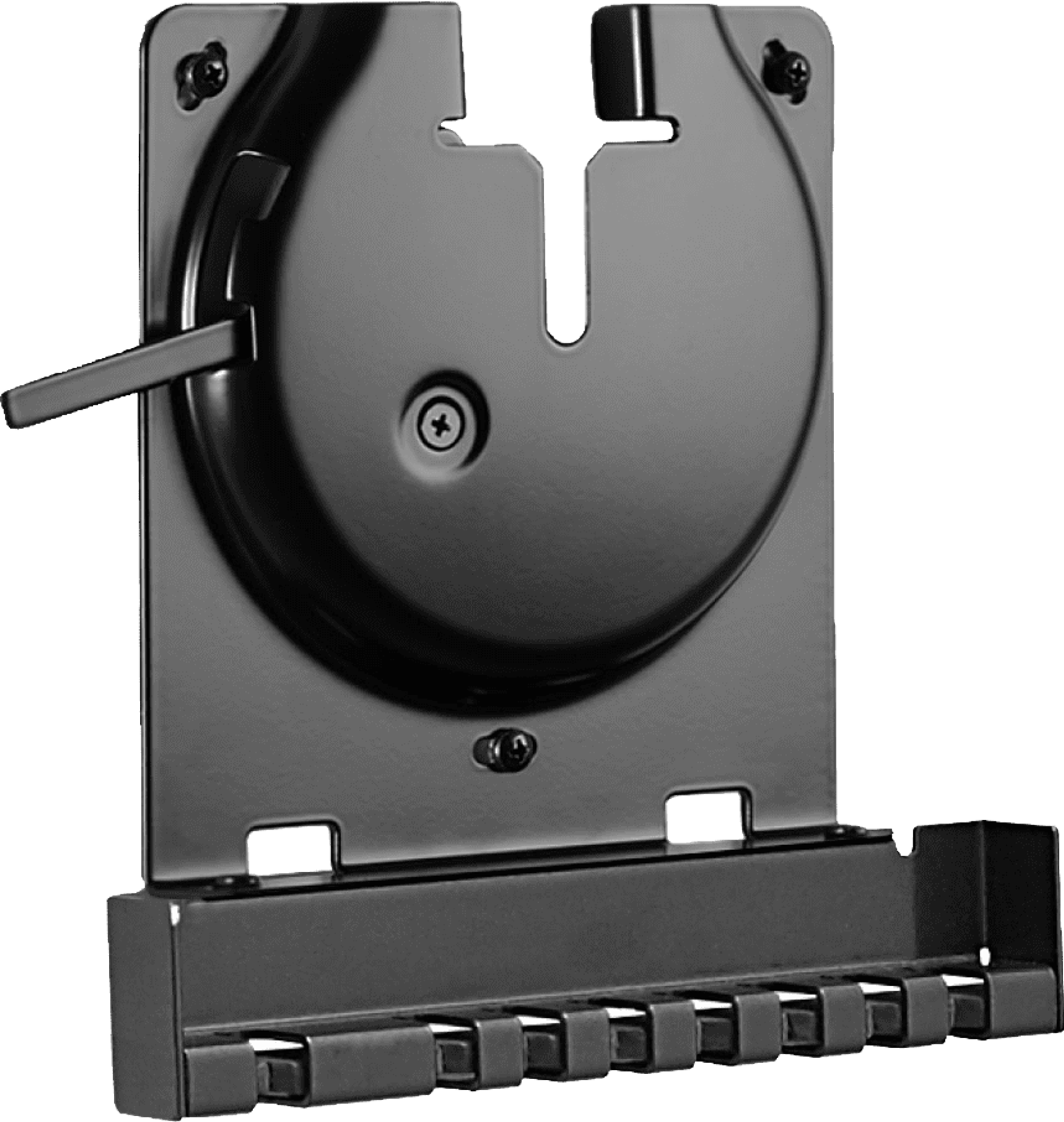 Sanus Wall Mount for Sonos Amp angle