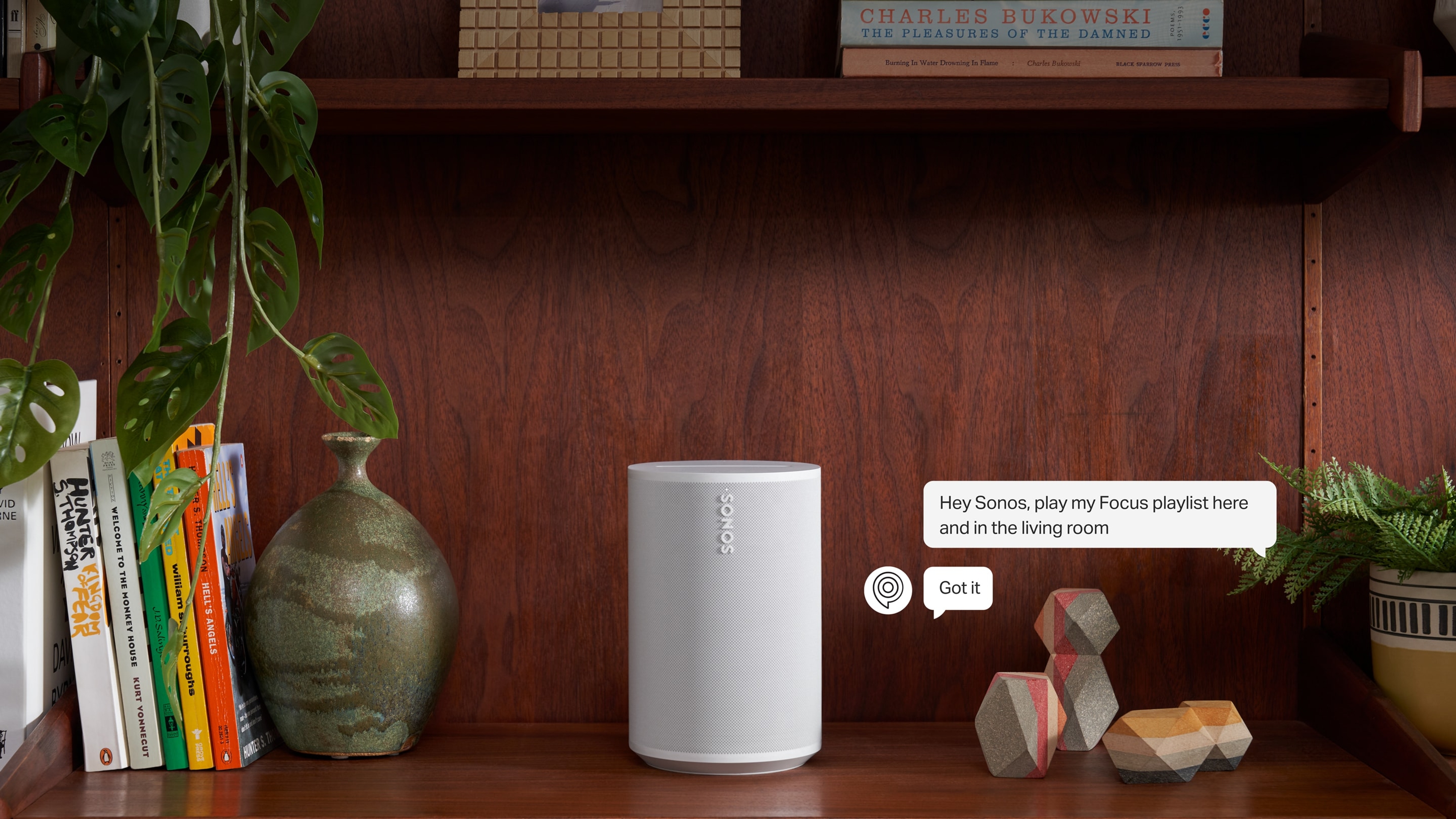 A white Era 100 speaker on a bookshelf next to a plant
