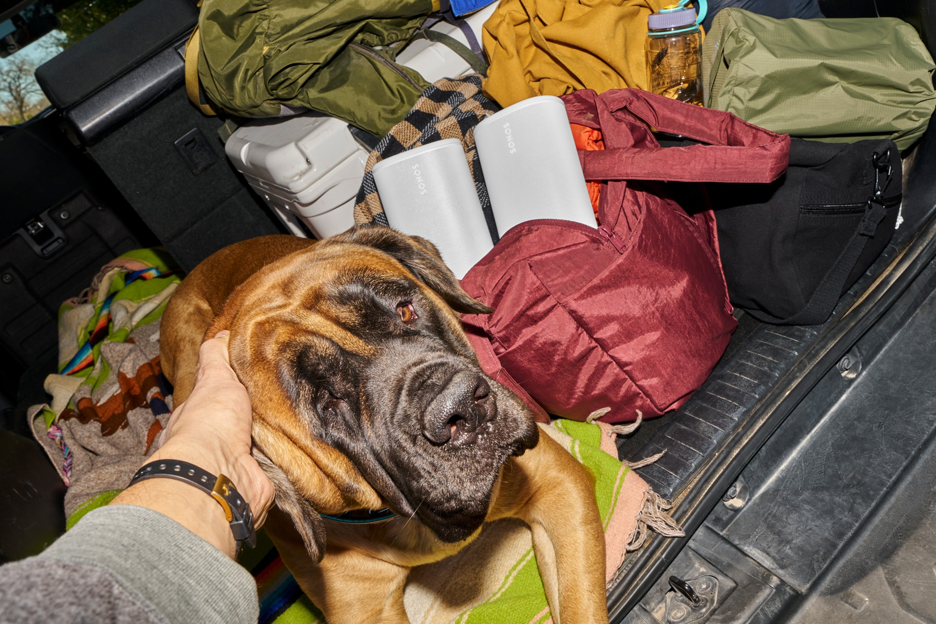 Osoba si balí auto na kempování se svým psem a párem bílých reproduktorů Sonos Play v kabelce