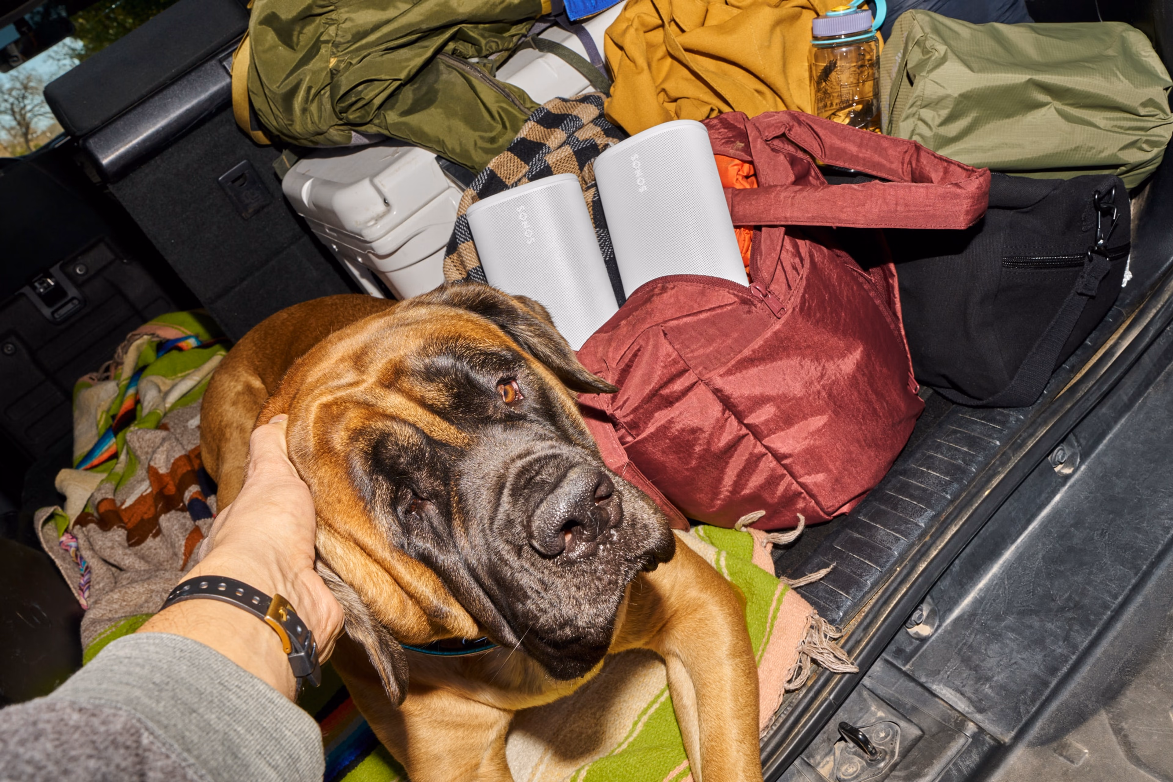 Person packing up their truck for camping with their dog with a pair of white Sonos Play speakers in a tote bag