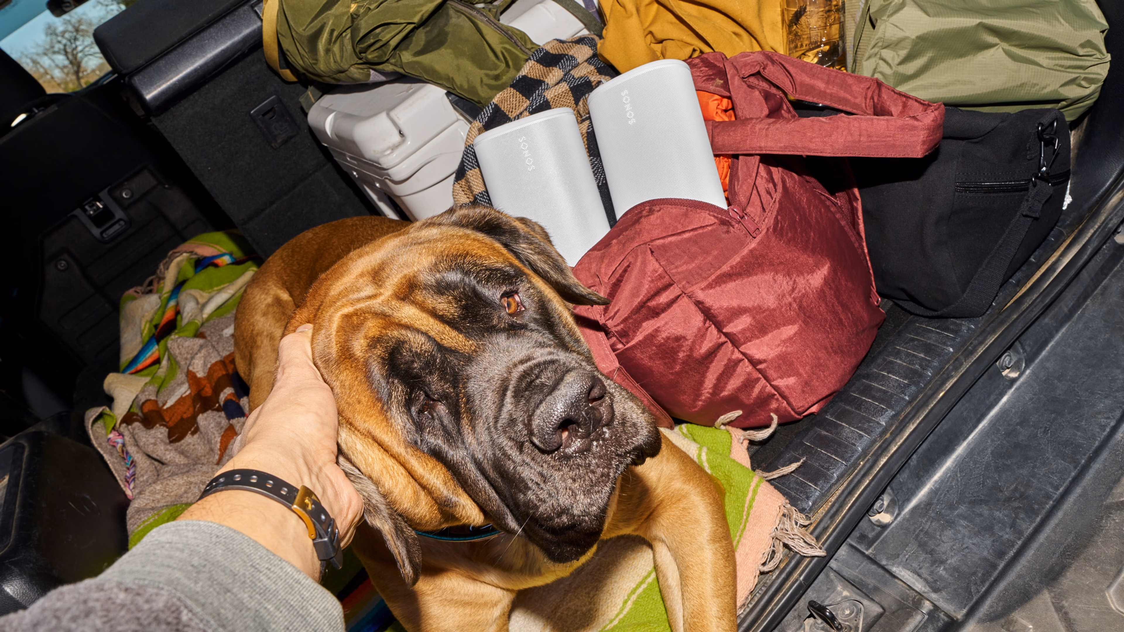 トートバッグに入った2台のSonos Playスピーカー(ホワイト)をトラックに積んで犬と一緒にキャンプに出かける人