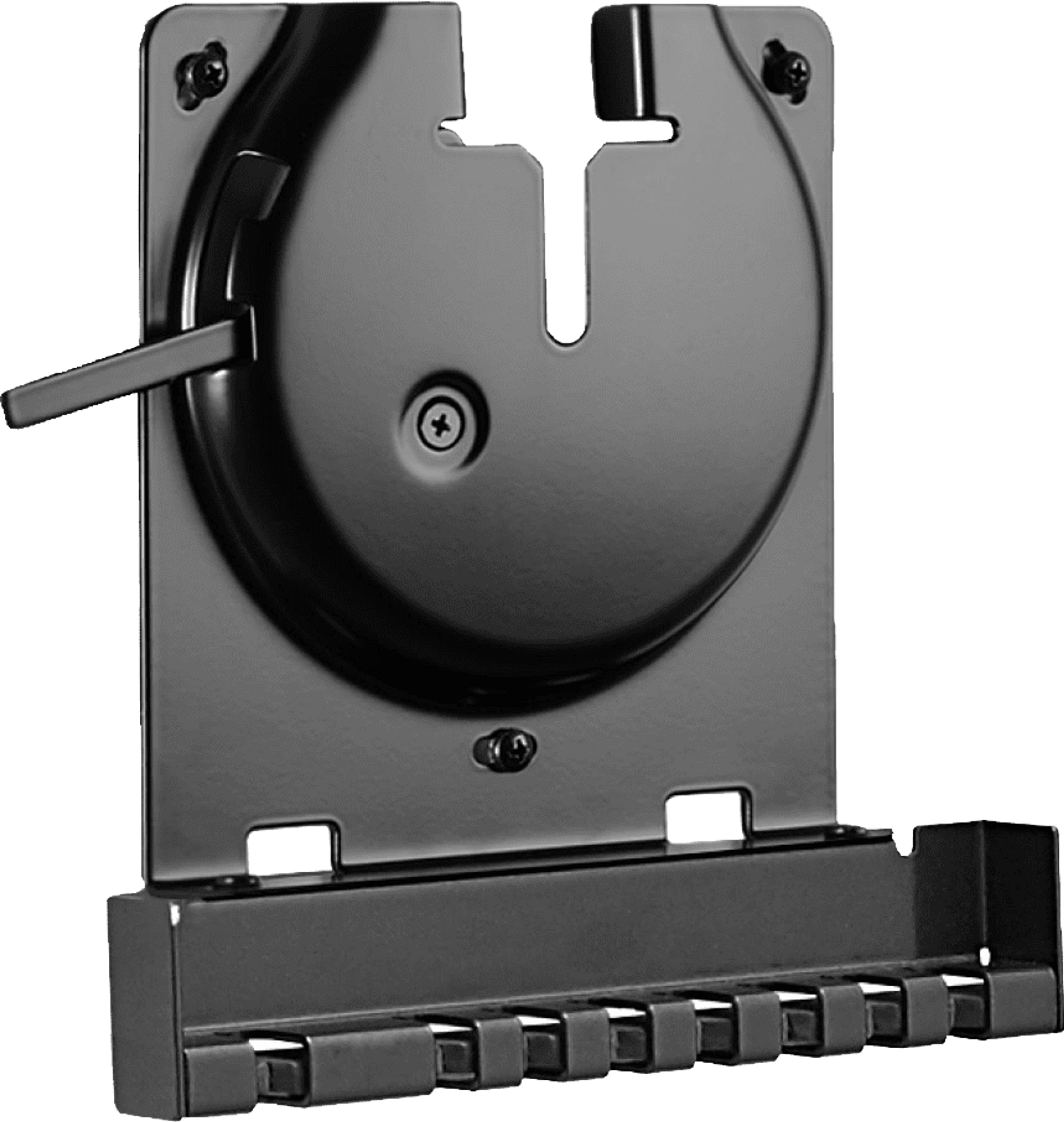 Sanus Wall Mount for Sonos Amp angle