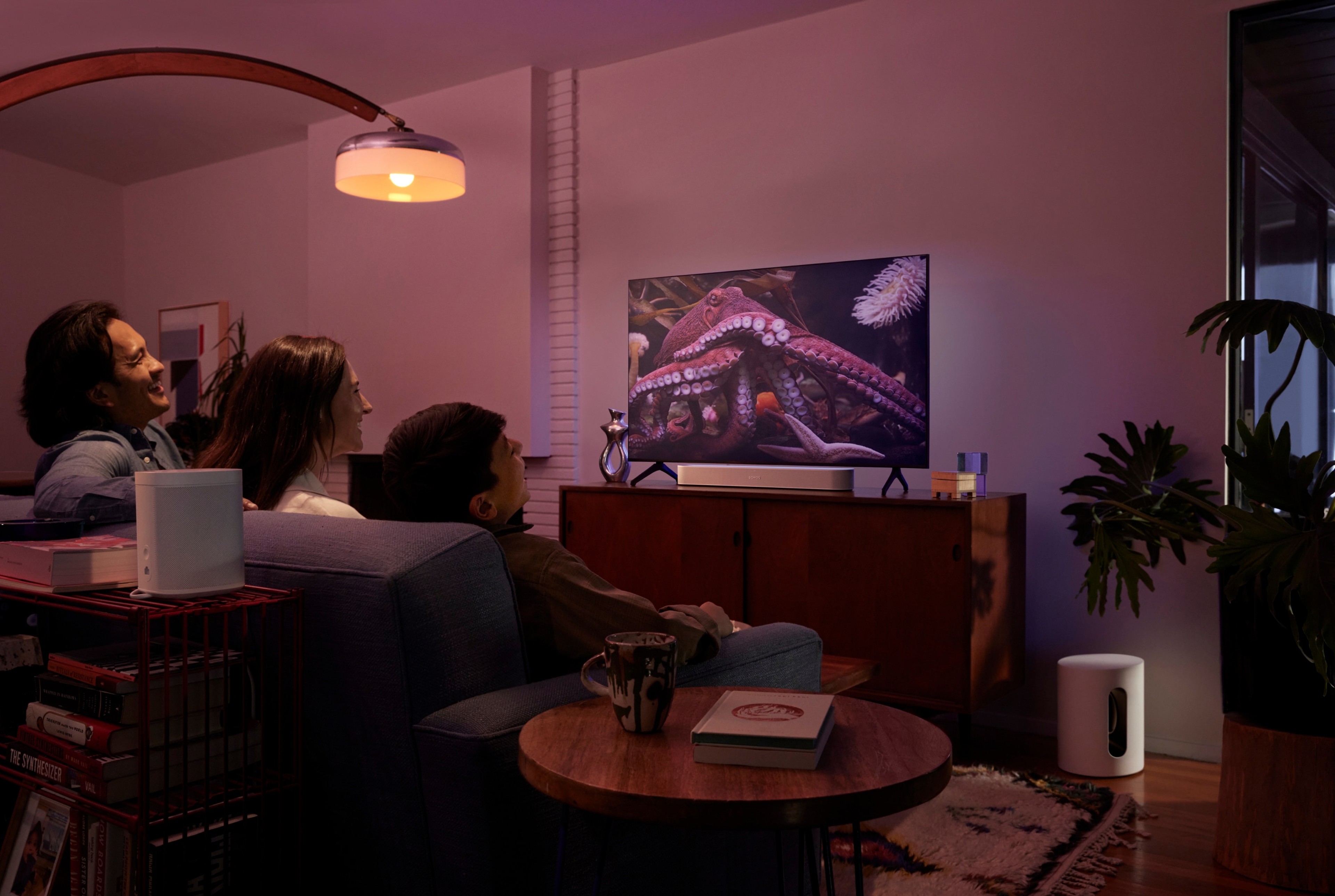 客厅里的Sub Mini