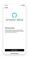 Most common Amazon Echo and Alexa problems and how to solve them