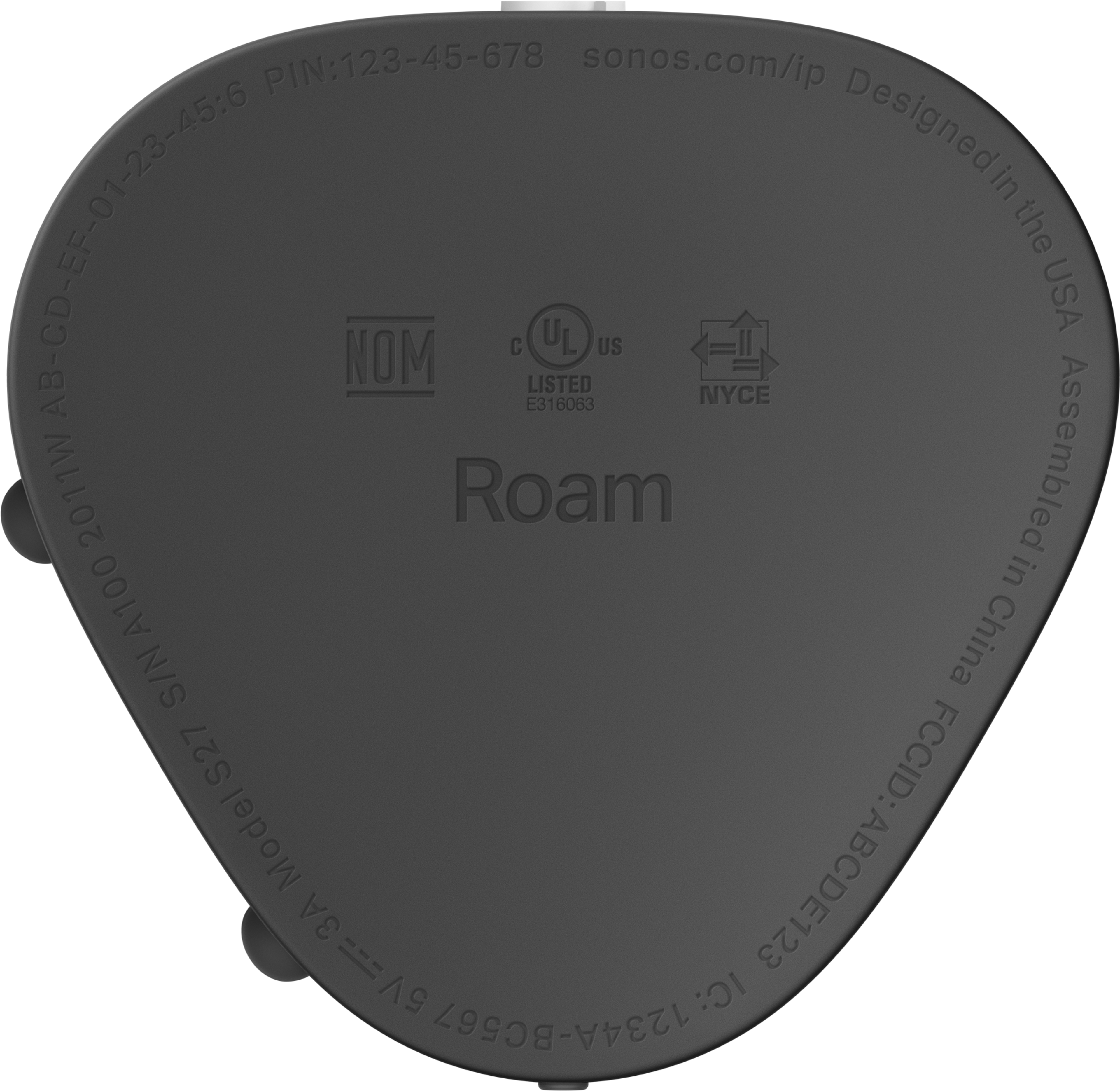 Roam: A Portable Waterproof Smart Speaker |