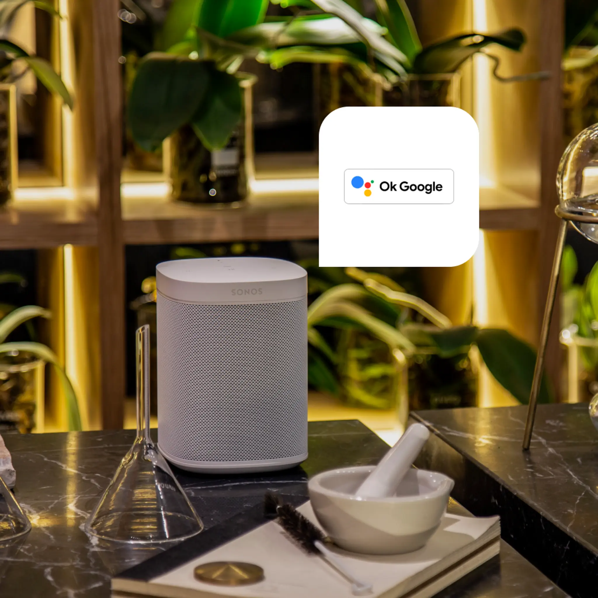 A Sonos One next to the Google Assistant icon