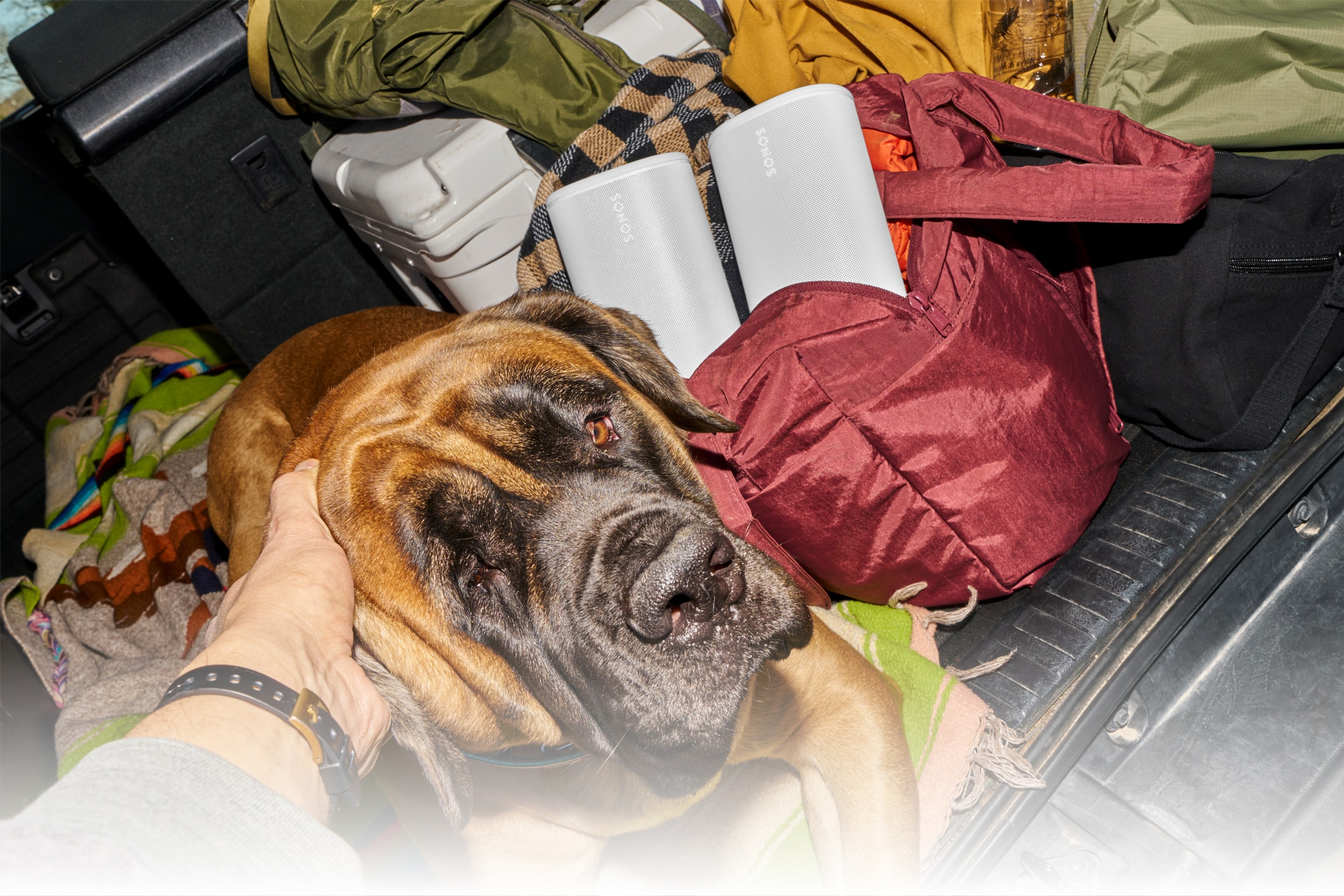 トートバッグに入った2台のSonos Playスピーカー（ホワイト）をトラックに積んで犬と一緒にキャンプに出かける人