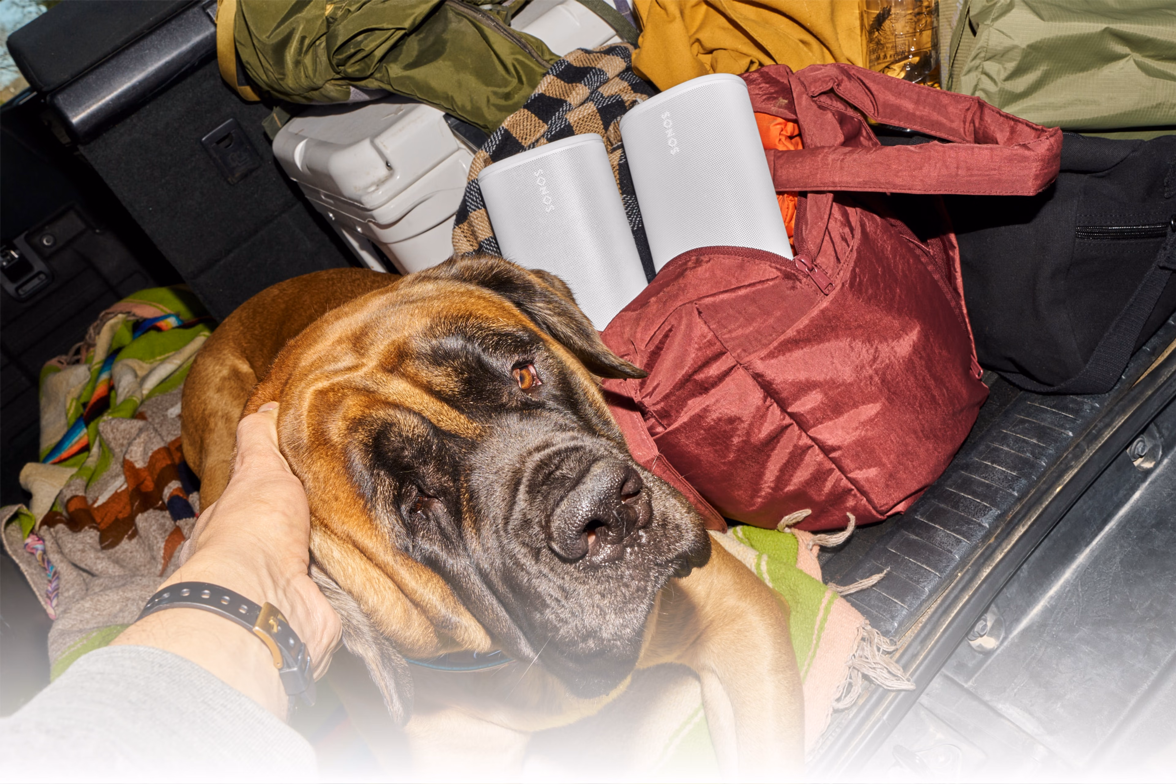 トートバッグに入った2台のSonos Playスピーカー(ホワイト)をトラックに積んで犬と一緒にキャンプに出かける人