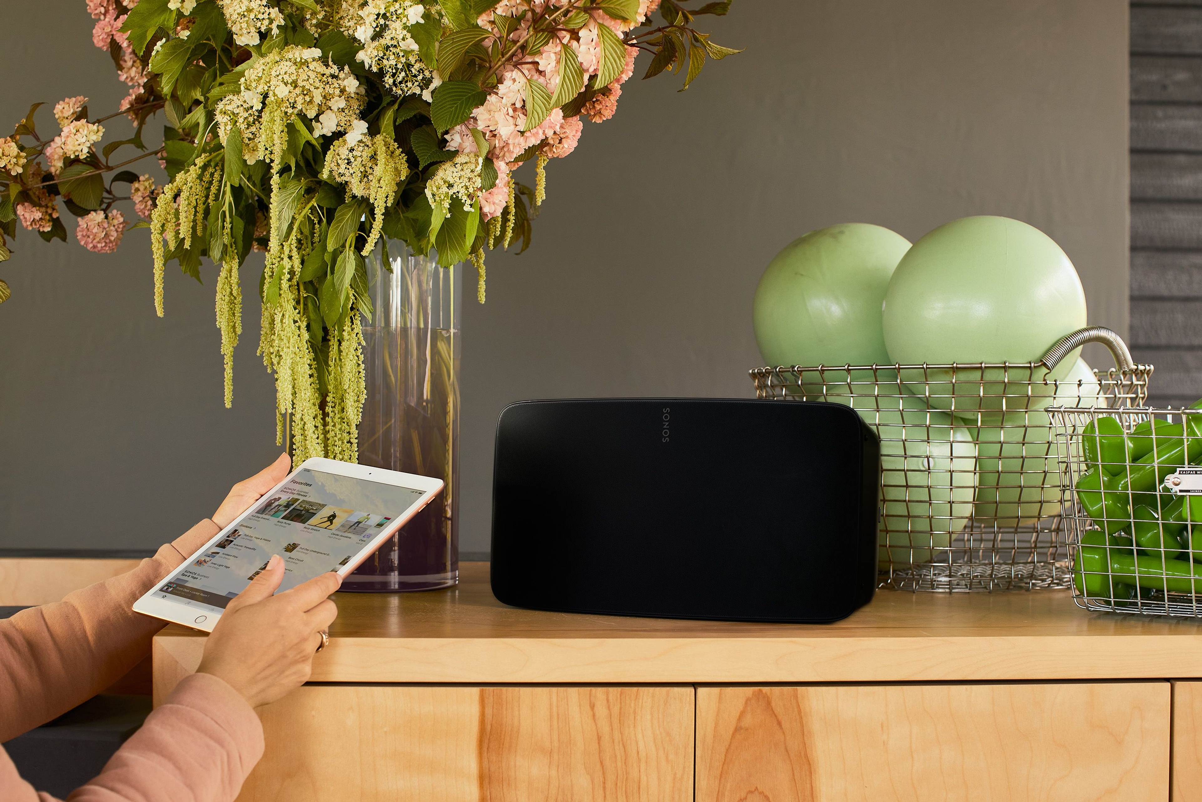 Sonos Business Knot Springs