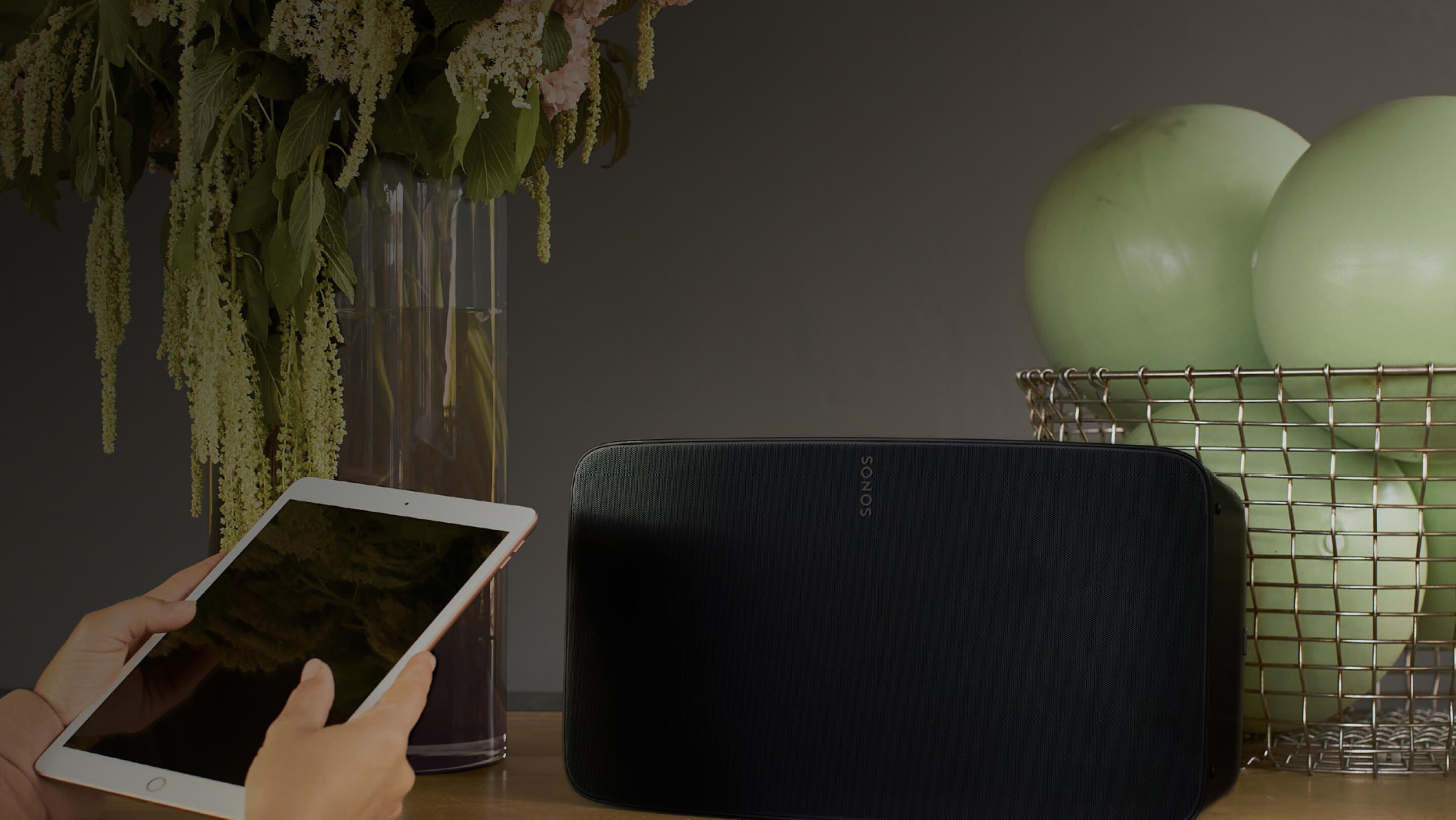 Sonos hot sale for business