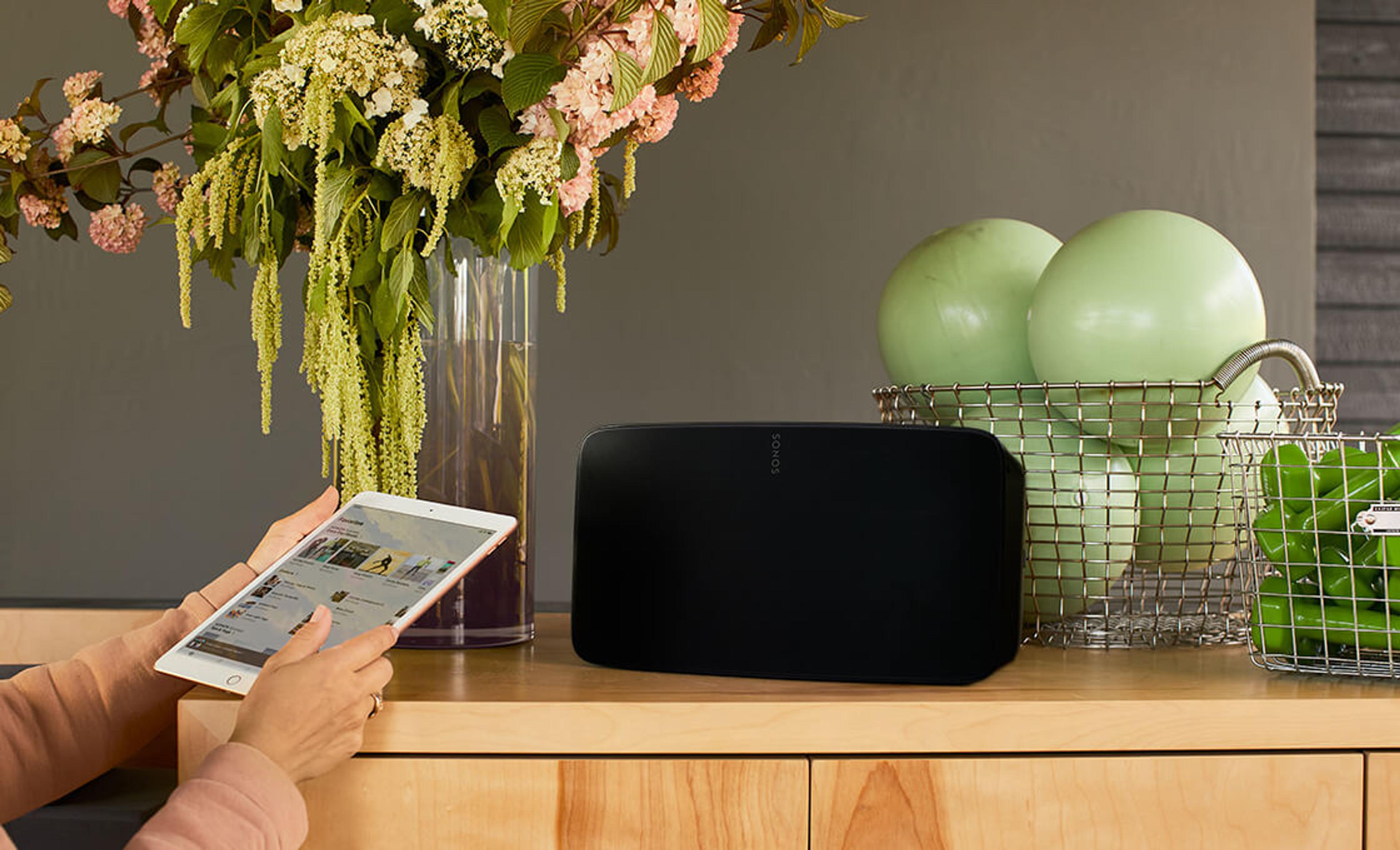 Shop Speakers & Accessories for Businesses | Sonos