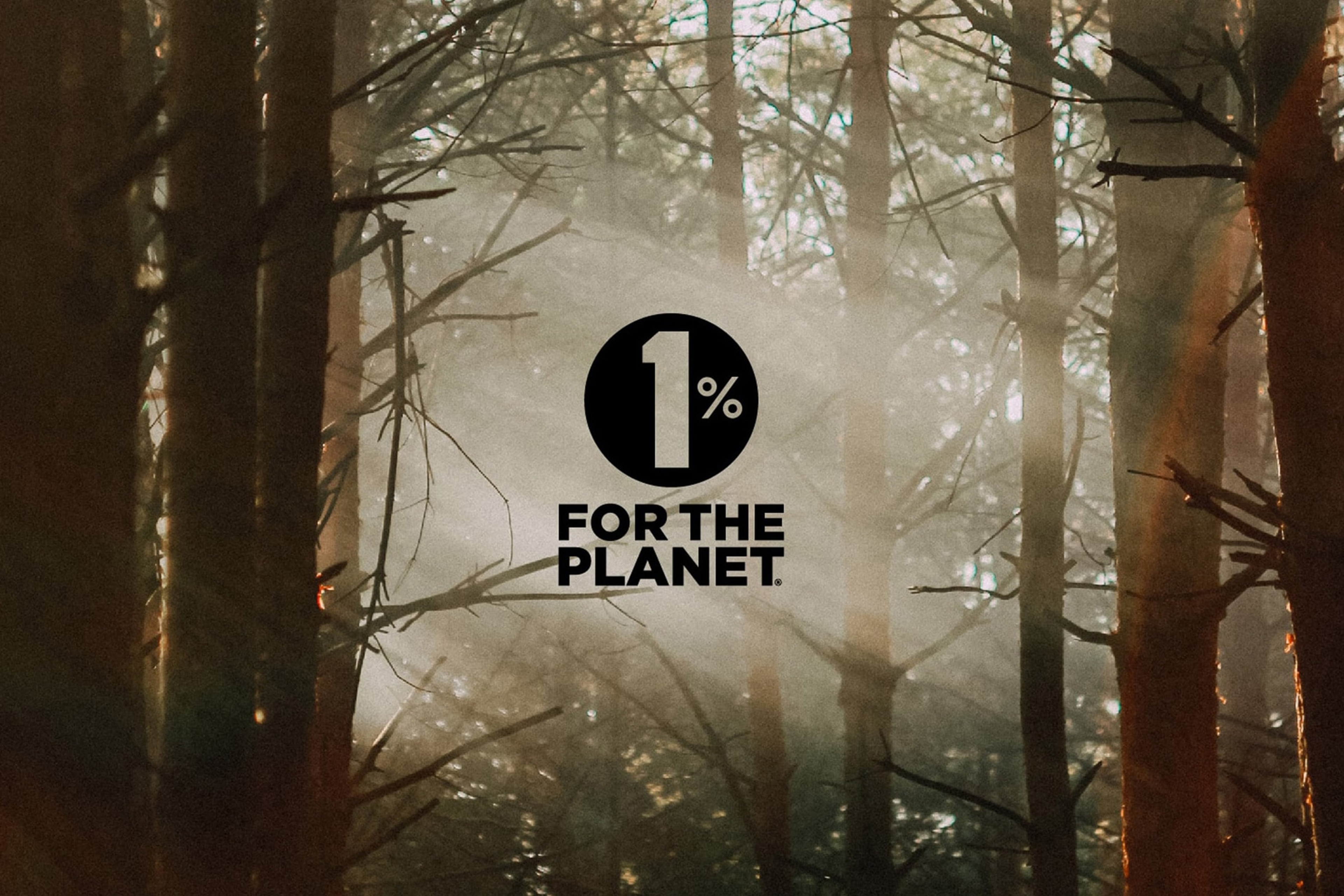 Forest with sunlight shining through and 1% for the Planet logo